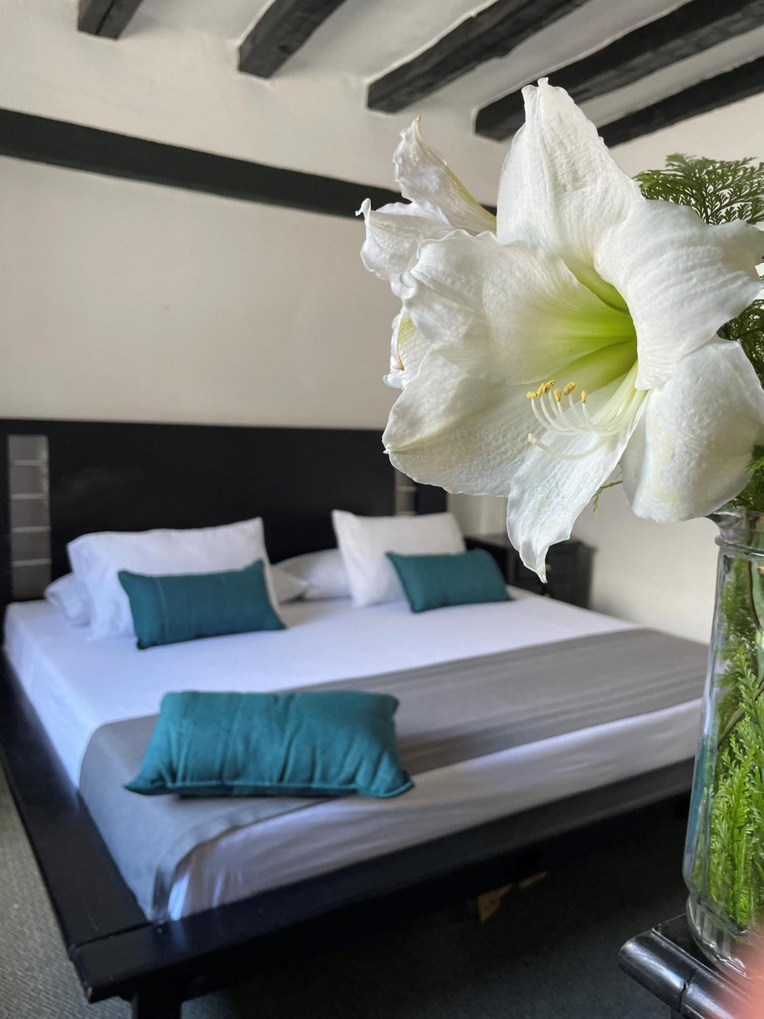 Hotel Premium Real Medellín Dış mekan fotoğraf